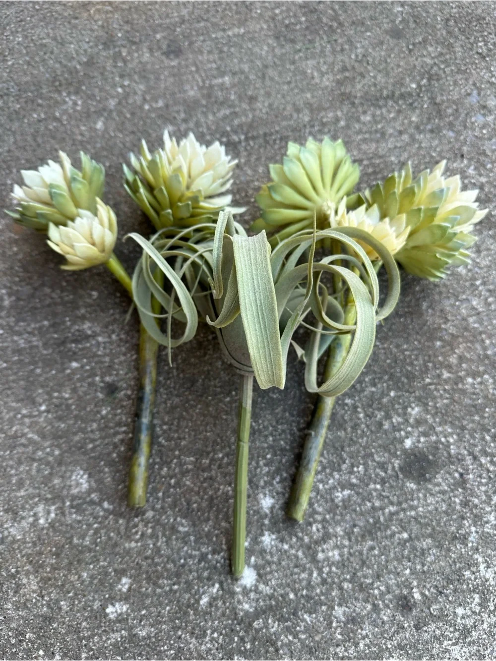 Artificial Succulent and Tillandsia Accent Stem - Green and Cream | Set of 3